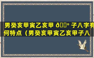 男癸亥甲寅乙亥甲 💮 子八字有何特点（男癸亥甲寅乙亥甲子八 🐦 字有何特点呢）